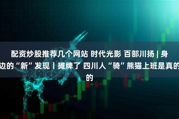 配资炒股推荐几个网站 时代光影 百部川扬 | 身边的“新”发现丨摊牌了 四川人“骑”熊猫上班是真的