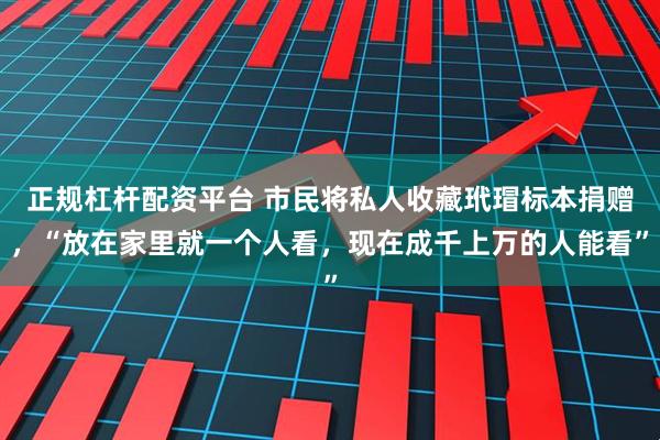 正规杠杆配资平台 市民将私人收藏玳瑁标本捐赠，“放在家里就一个人看，现在成千上万的人能看”